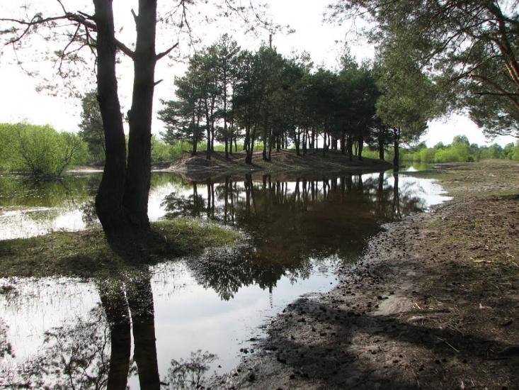 Горбове з panoramio.com - Горбовое