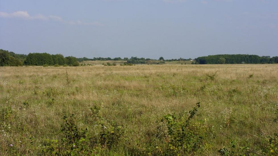 Пашенівка з panoramio.com - Пашеновка