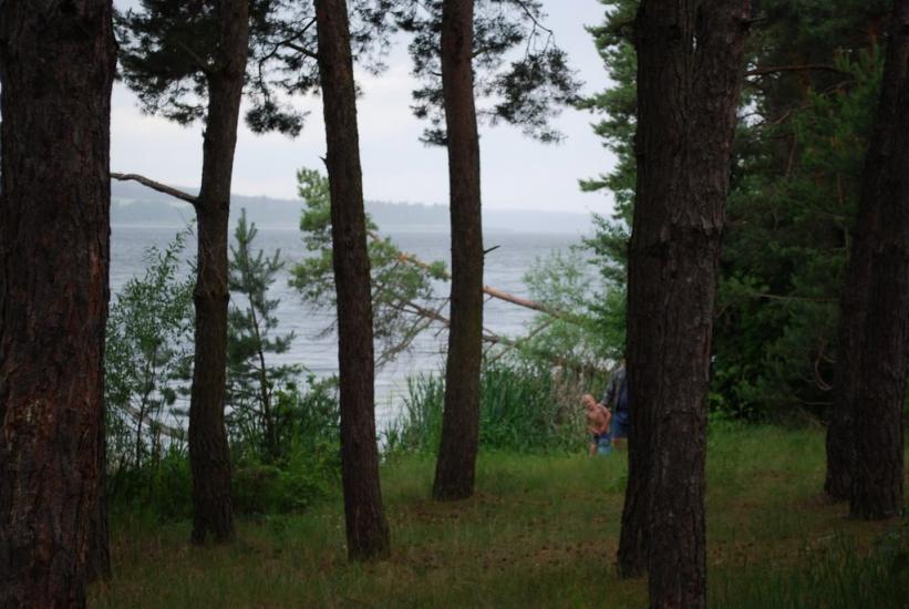 Степашки з panoramio.com - Степашки