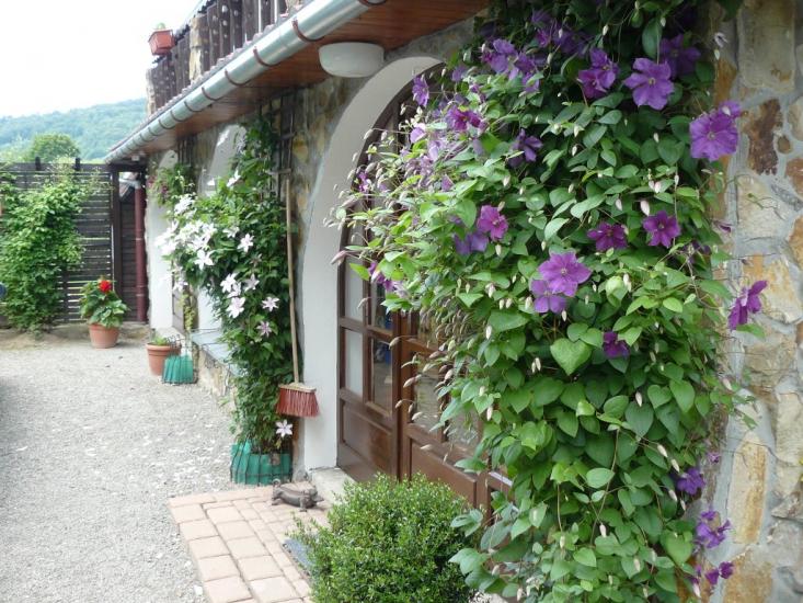 Катина з panoramio.com - Катыно