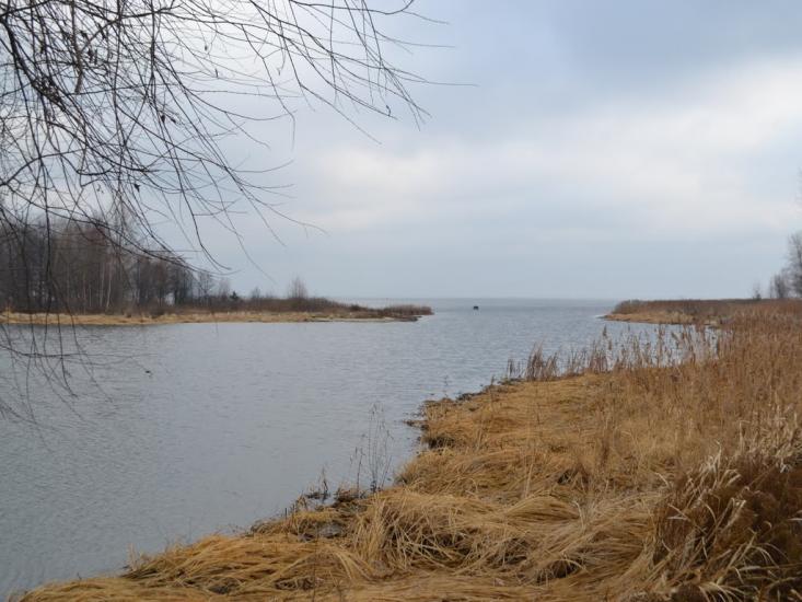 Глібівка з panoramio.com - Глебовка