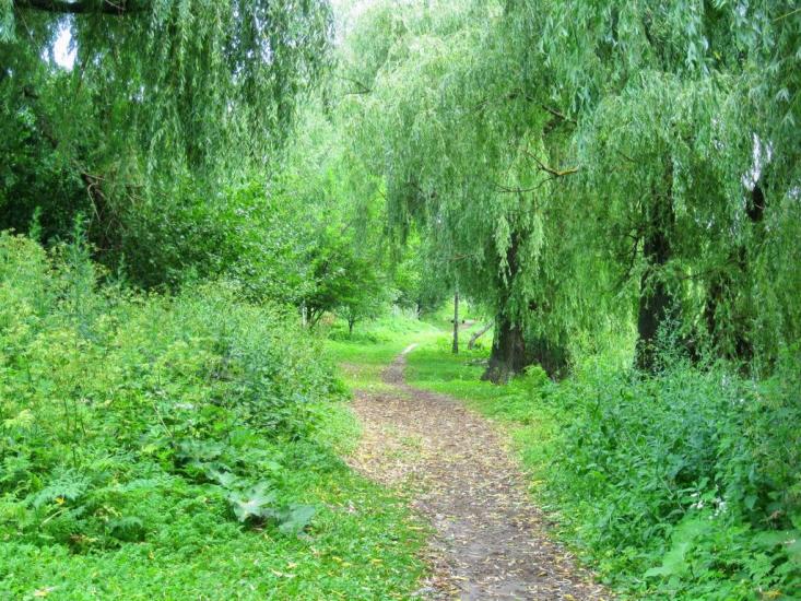 Борзна з panoramio.com - Борзна