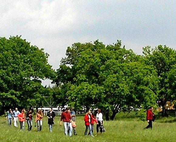 Романків з panoramio.com - Романков