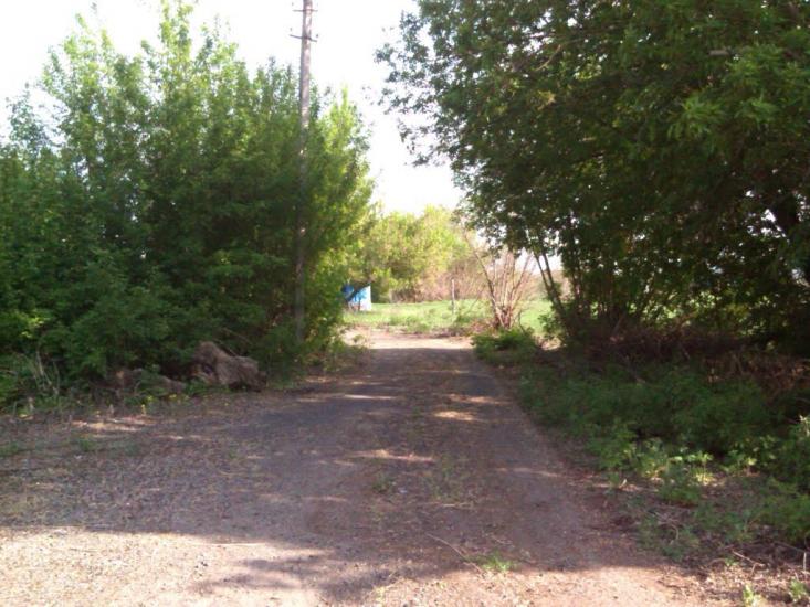 Вільне з panoramio.com - Вольное