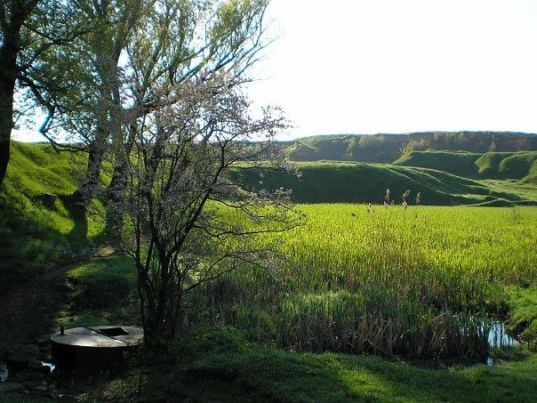Мала Виска з panoramio.com - Малая Виска