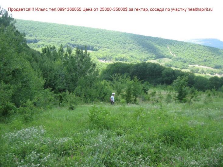 Путилівка з panoramio.com - Путиловка