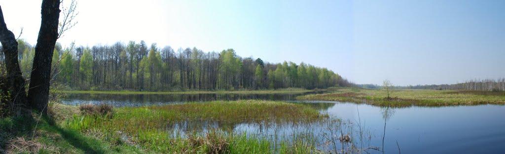 Брідок з panoramio.com - Бродок