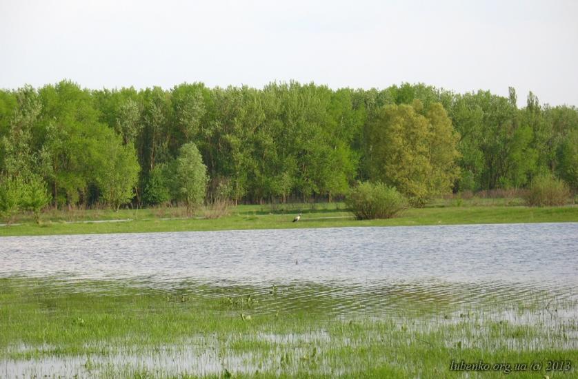Остер з panoramio.com - Остер
