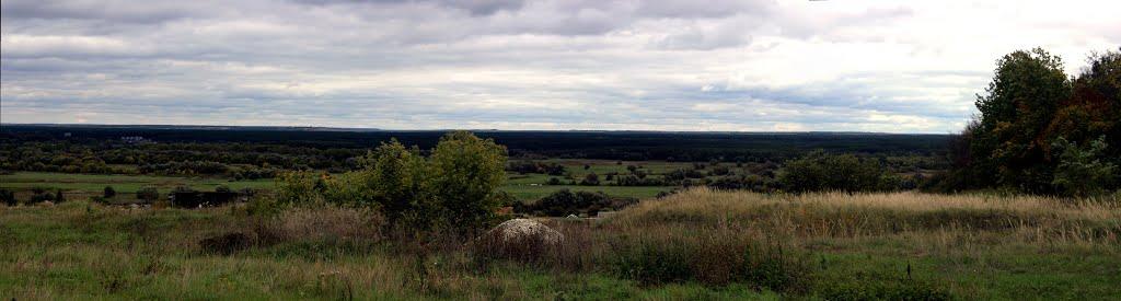 Дворічна з panoramio.com - Двуречная