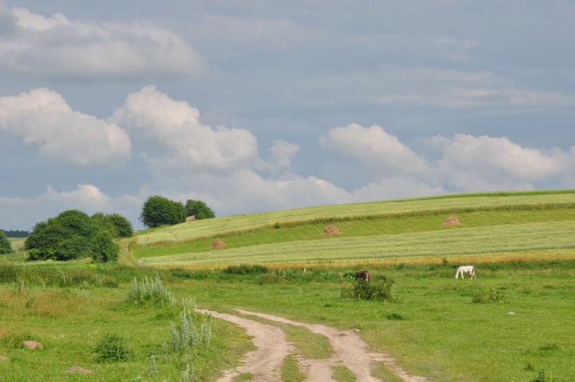 Дігтів з panoramio.com - Дігтів