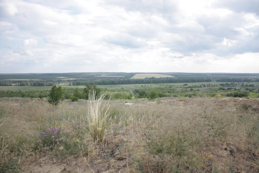 Литвинівка з panoramio.com - Литвиновка