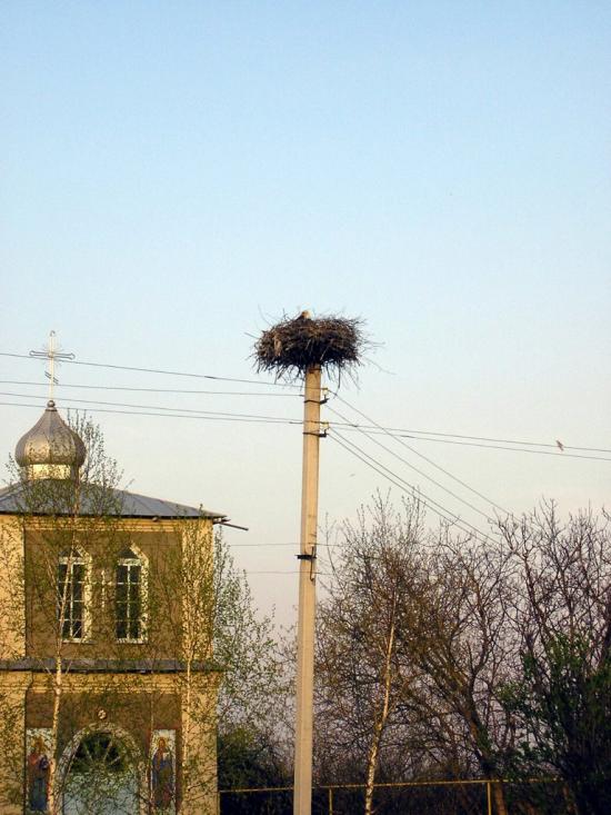 Маків з panoramio.com - Маков