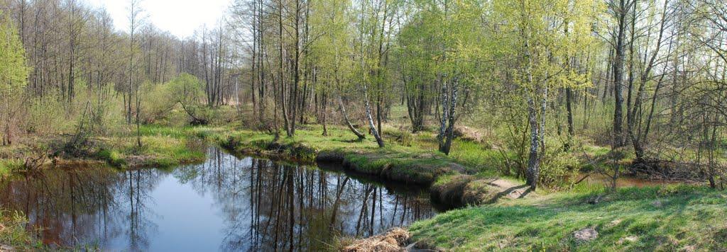 Брідок з panoramio.com - Бродок