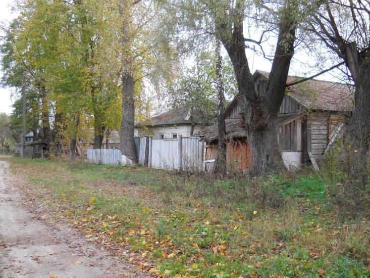 Чорнозем з panoramio.com - Чорнозем