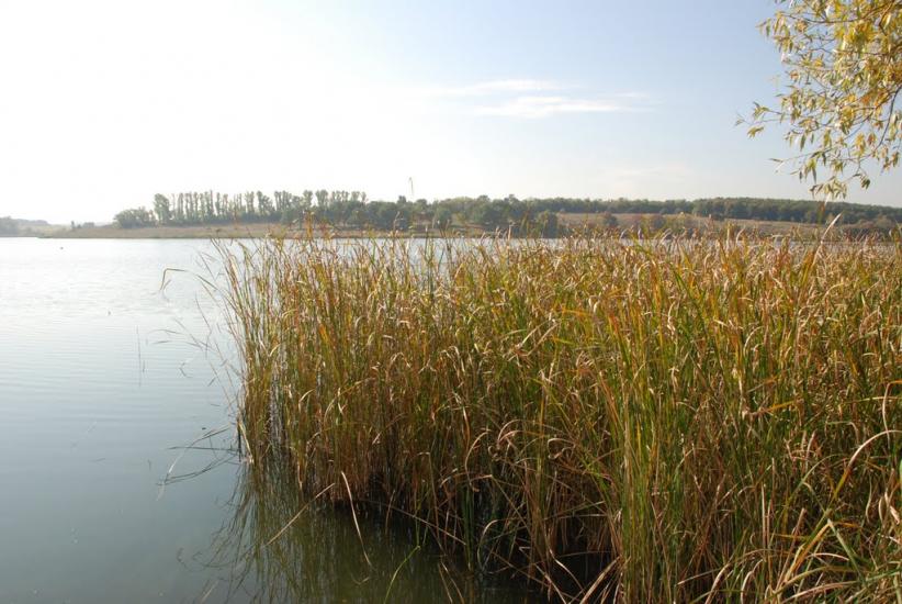 Черняки з panoramio.com - Черняки