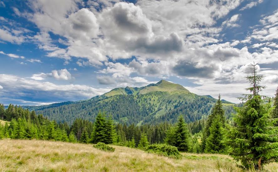 Видричка з panoramio.com - Видричка