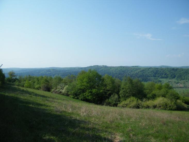 Трушевичі з panoramio.com - Trushevychi
