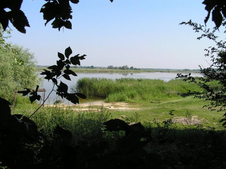 Гупалівка з panoramio.com - Гупаловка