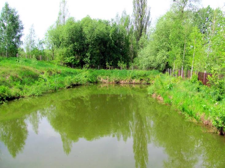 Сарни з panoramio.com - Сарни