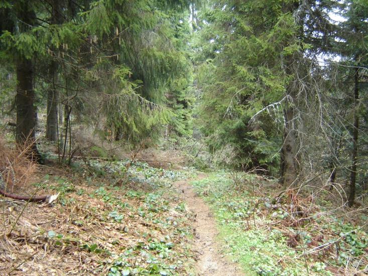 Розлуч з panoramio.com - Rozluch