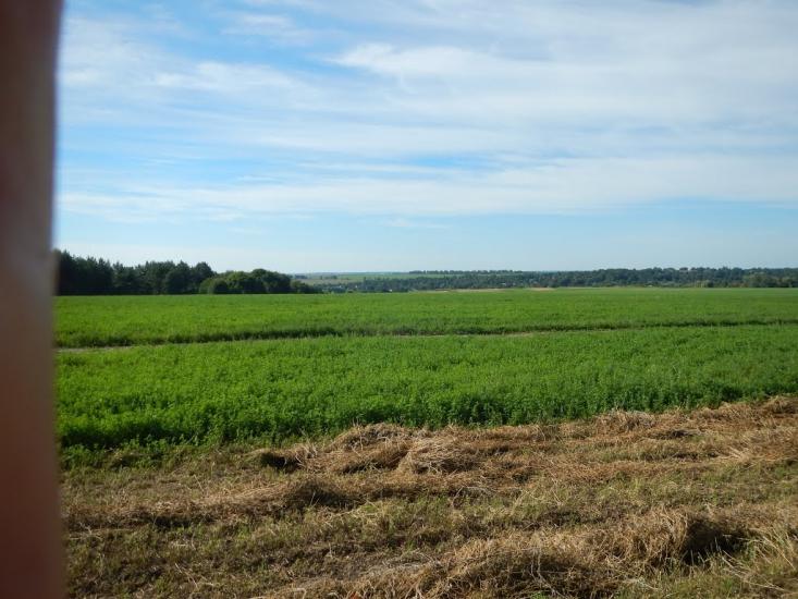 Черемошне з panoramio.com - Черемошне