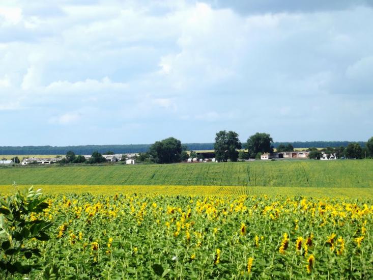 Романівка з panoramio.com - Romanivka