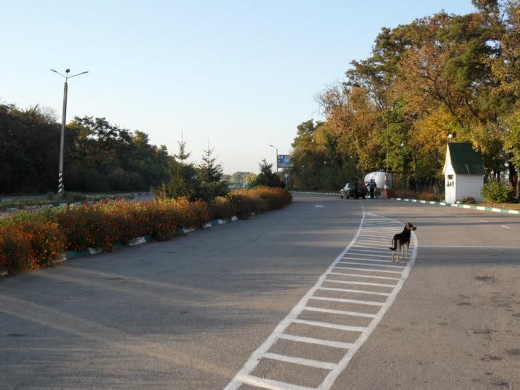 Гребінки з panoramio.com - Гребінки