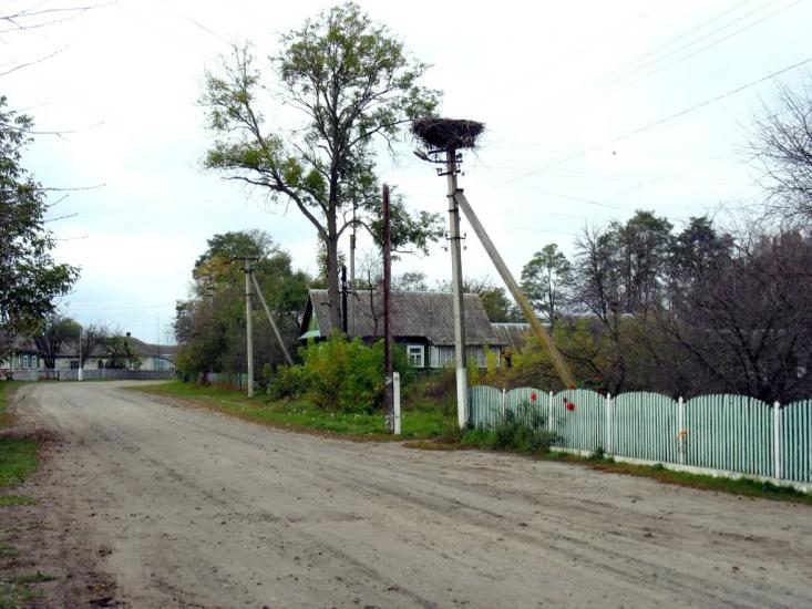 Адамчуки з panoramio.com - Адамчуки