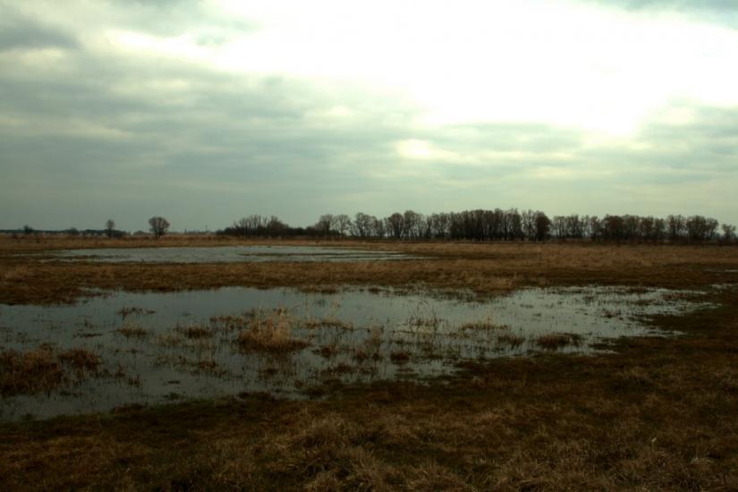 Червона Слобода з panoramio.com - Червона Слобода