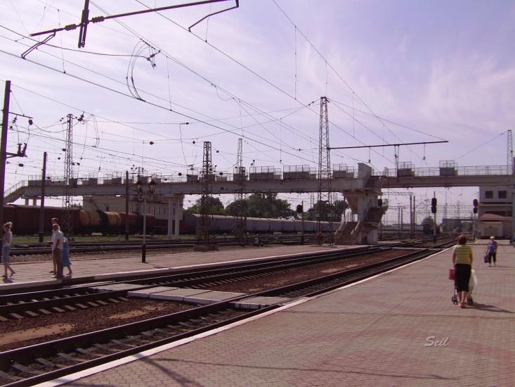 Чаплине з panoramio.com - Чаплине