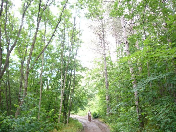 Учебне з panoramio.com - Учебное