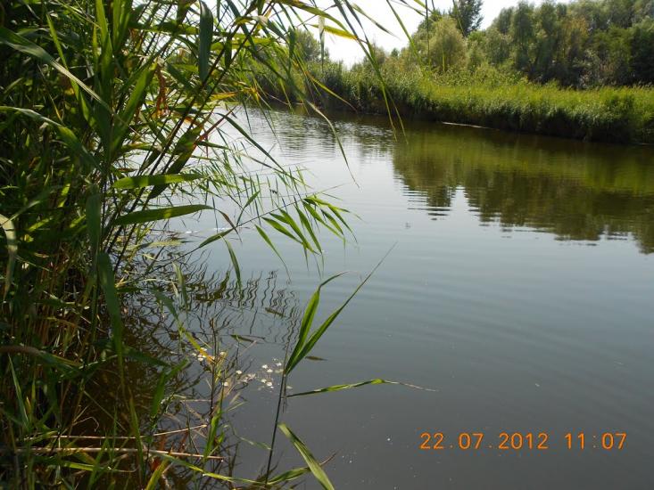 Леськи з panoramio.com - Леськи