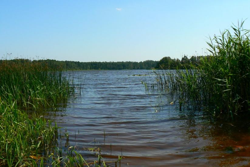 Перешпа з panoramio.com - Перешпа
