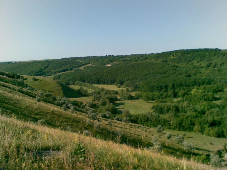 Грушка з panoramio.com - Грушка