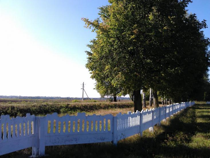 Великі Крушлинці з panoramio.com - Velyki Krushlyntsi