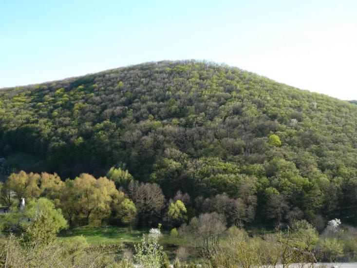 Вербка з panoramio.com - Вербка