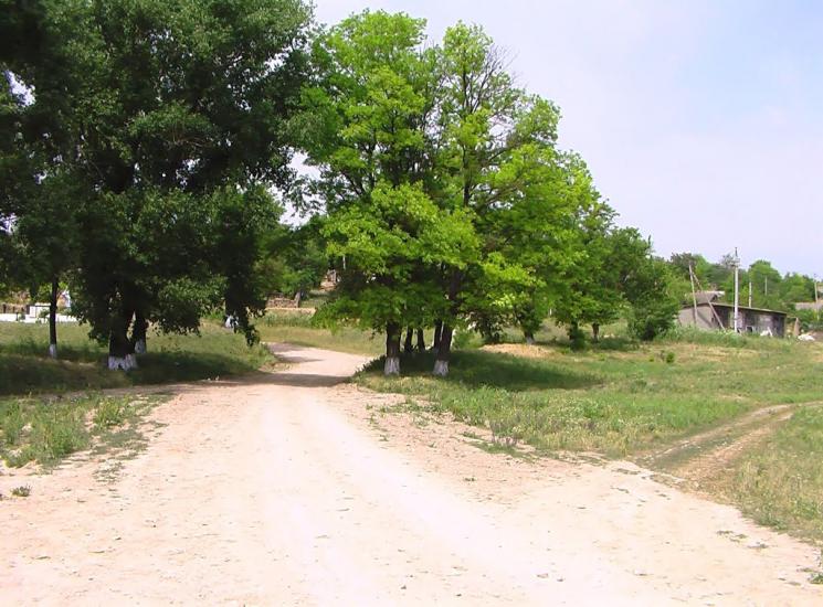 Дубове з panoramio.com - Дубове