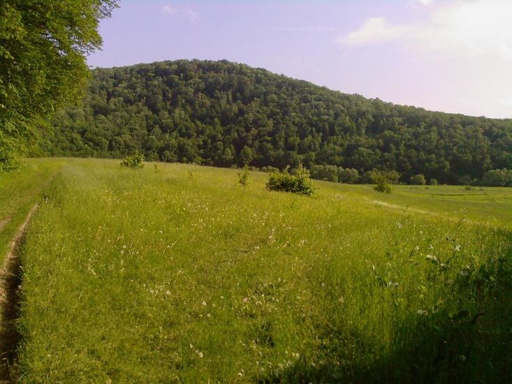 Кринцілів з panoramio.com - Кринцілів
