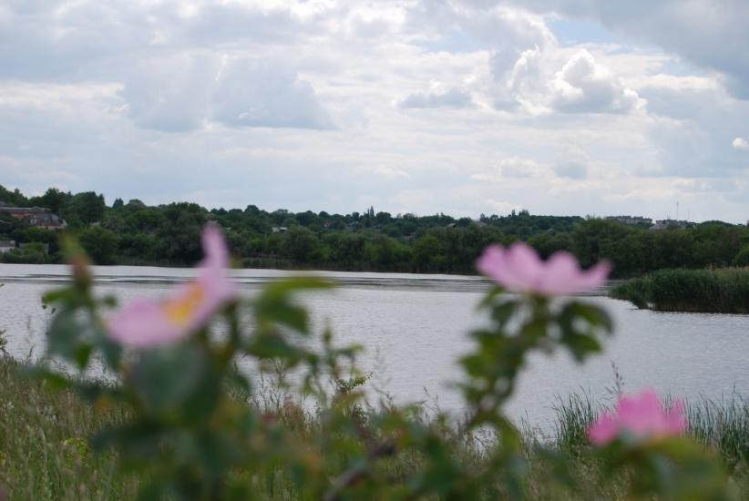 Мала Виска з panoramio.com - Малая Виска