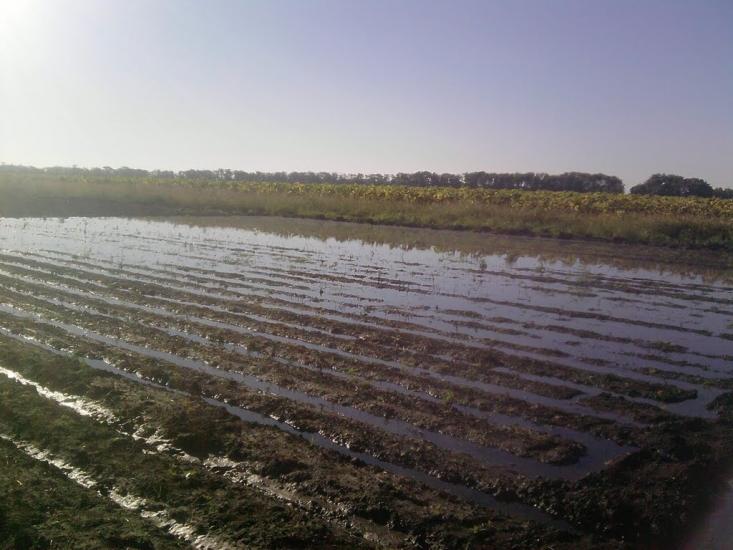 Костянтинівка з panoramio.com - Костянтинівка