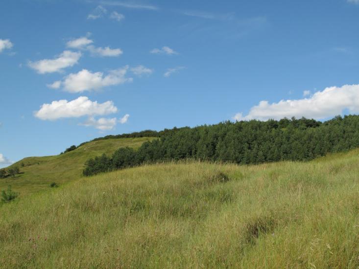 Шопки з panoramio.com - Шопки