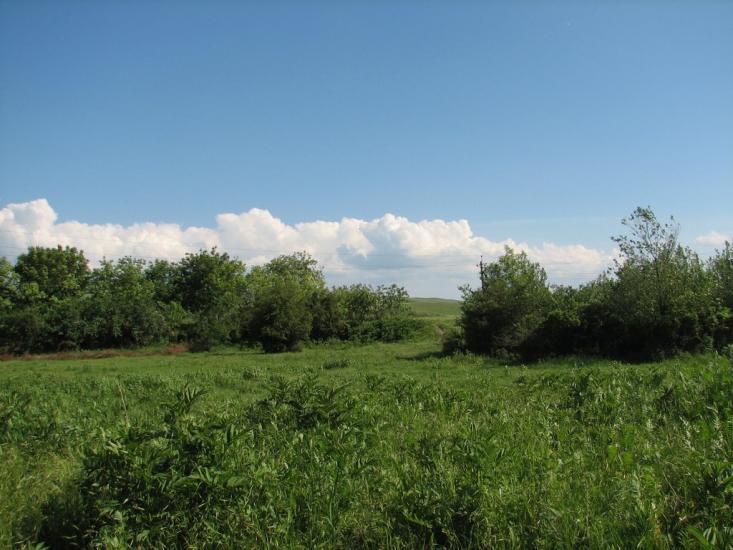 Вишенне з panoramio.com - Вишенне