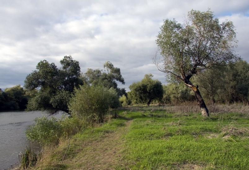 Яськи з panoramio.com - Jasky