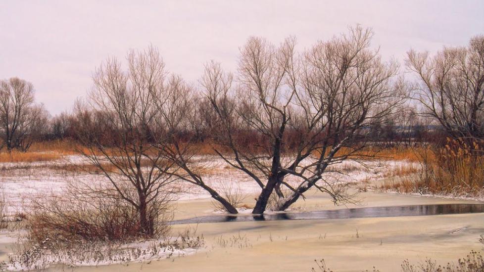 Катеринка з panoramio.com - Катеринка
