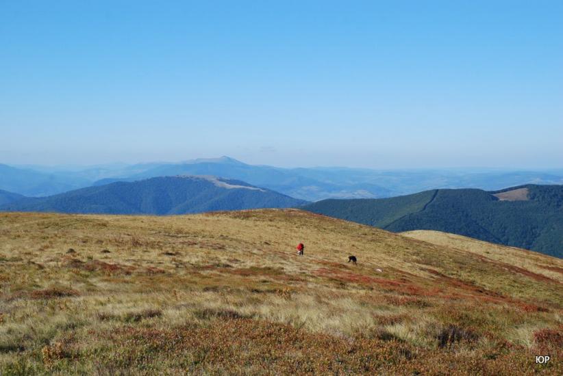 Вовчий з panoramio.com - Волчий