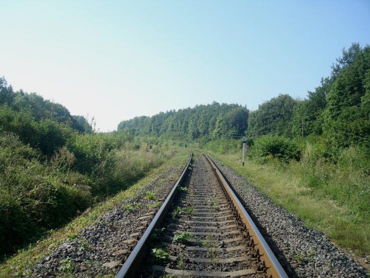 Панівці з panoramio.com - Panivtsi