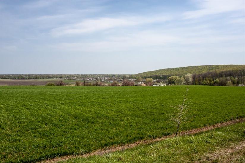 Пожарна Балка з panoramio.com - Пожарная Балка