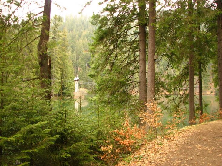 Стригальня з panoramio.com - Strygalnya