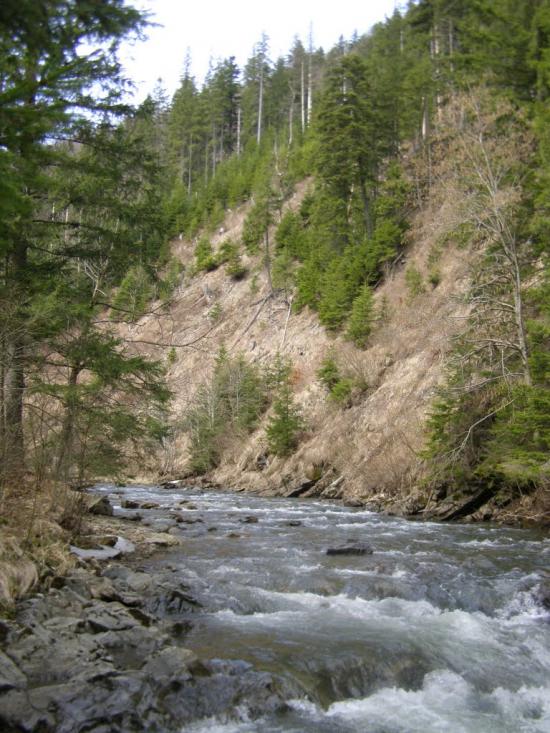 Нижня Рожанка з panoramio.com - Нижняя Рожанка