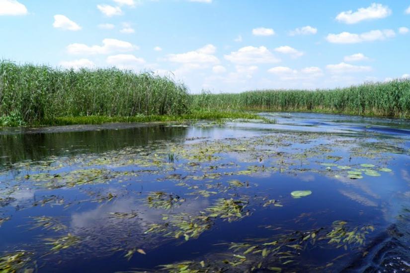 Бучин з panoramio.com - Buchyn